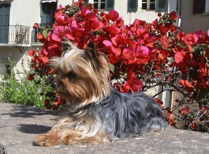 Kathy beim Sonnenbad