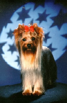 Reginald Pusterb&auml;rchen